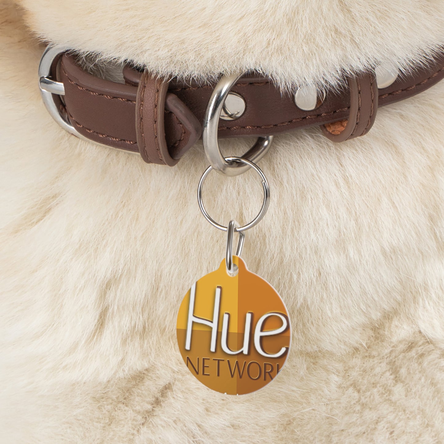 Pet Tag